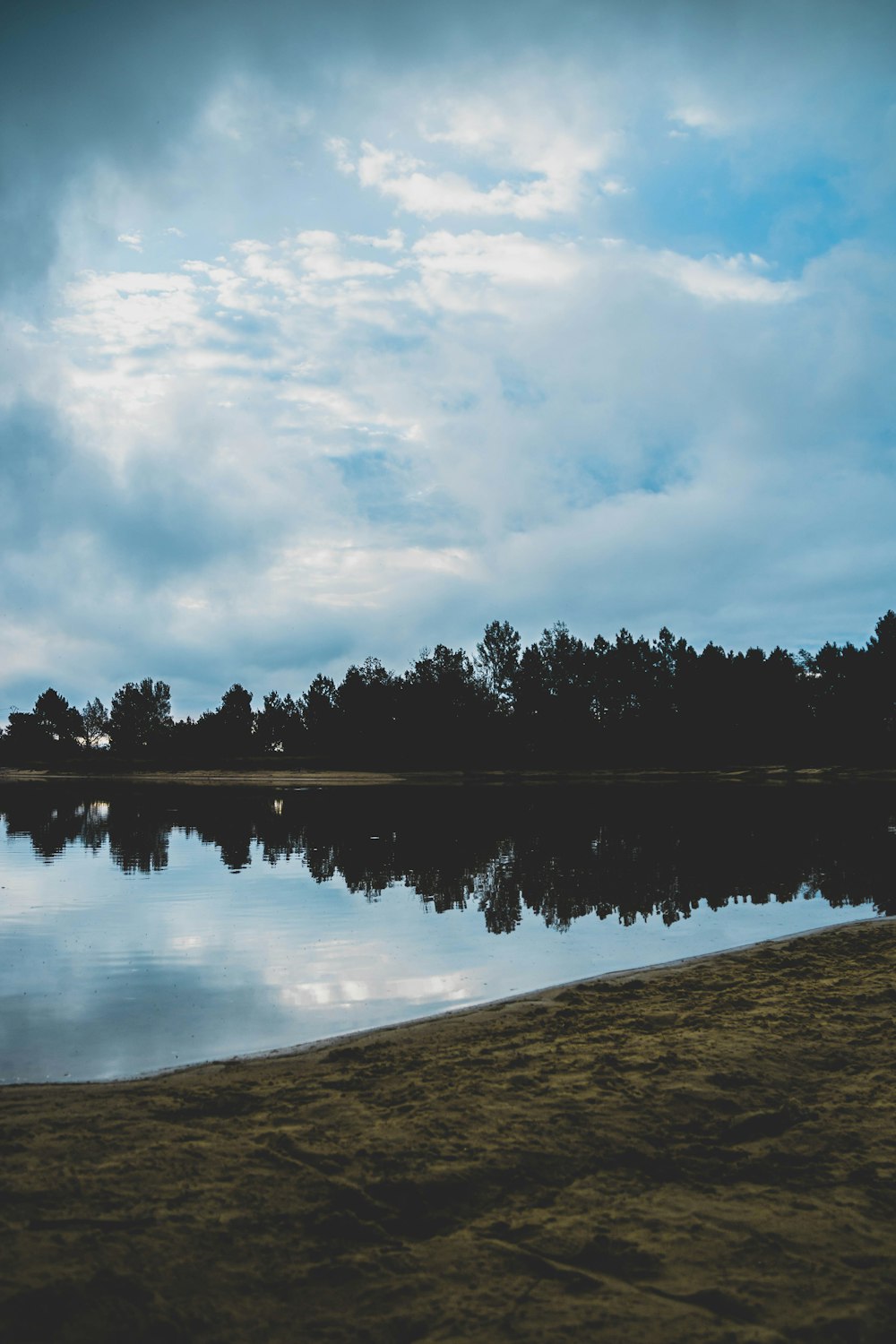 body of water near trees under cloudy sky during daytime