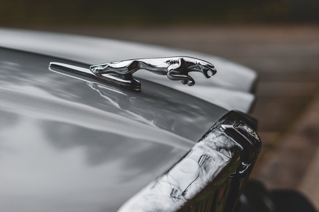 black and white car in close up photography