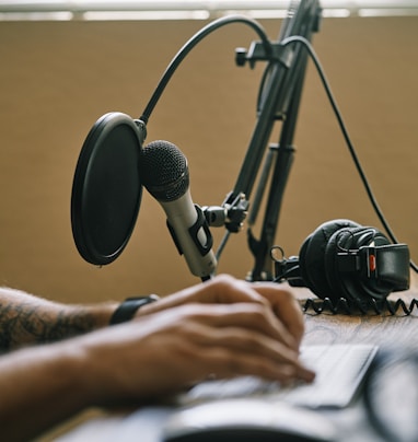 person holding microphone on microphone stand