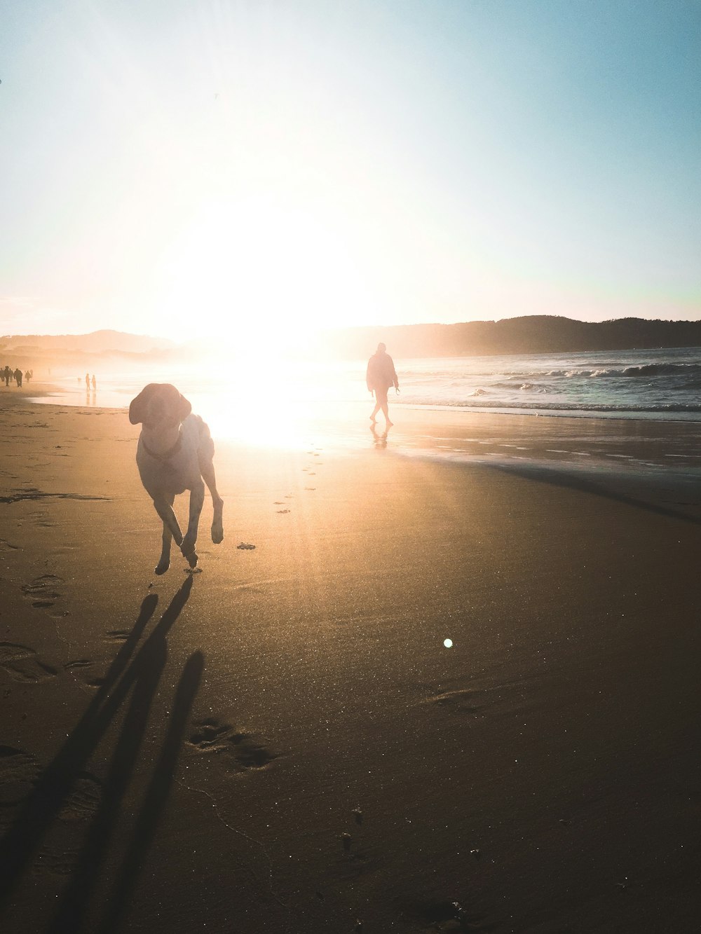 2 person walking on beach during sunset