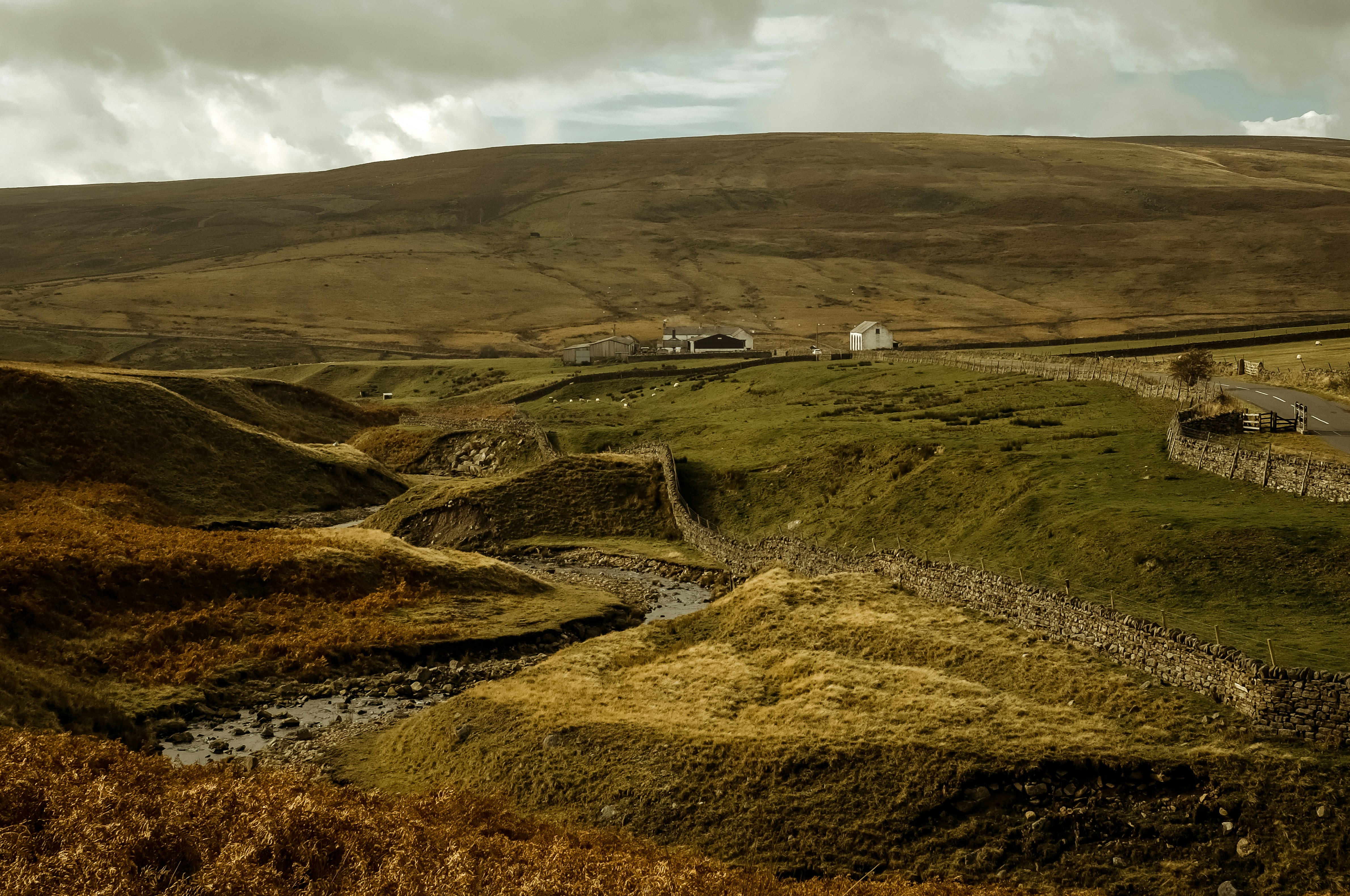 Photo by freshseteyes