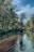 A person stands on a bamboo raft in a lush tropical setting surrounded by tall coconut trees. The water is calm and clear, reflecting the vibrant greenery and the blue sky above. The atmosphere is serene and peaceful.