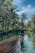 A person stands on a bamboo raft in a lush tropical setting surrounded by tall coconut trees. The water is calm and clear, reflecting the vibrant greenery and the blue sky above. The atmosphere is serene and peaceful.