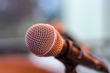 grey microphone on brown wooden stand
