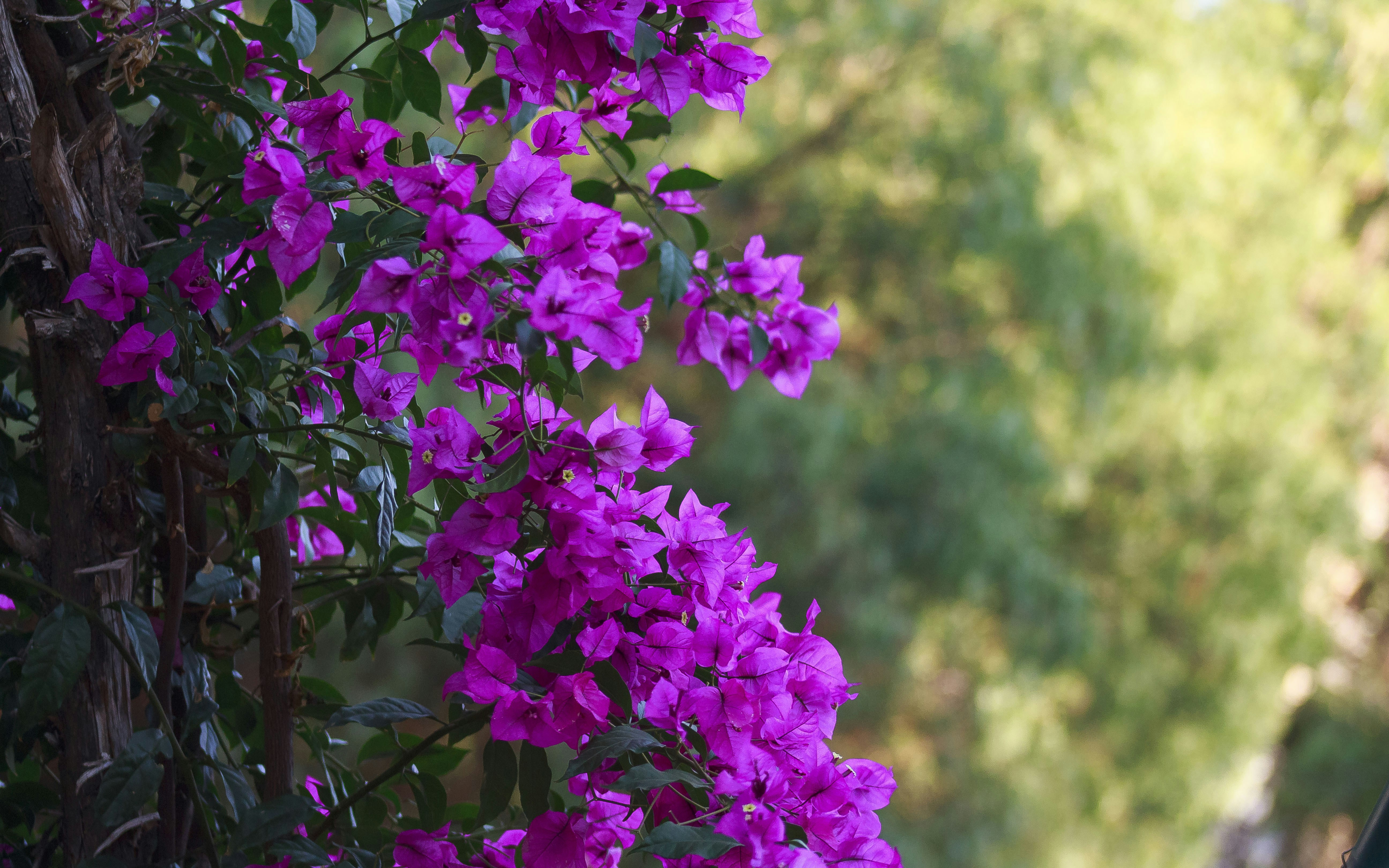 Photo by eduardopastor