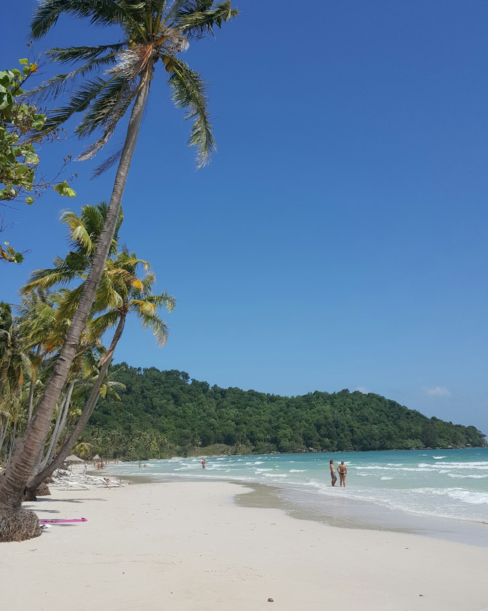 people on beach during daytime