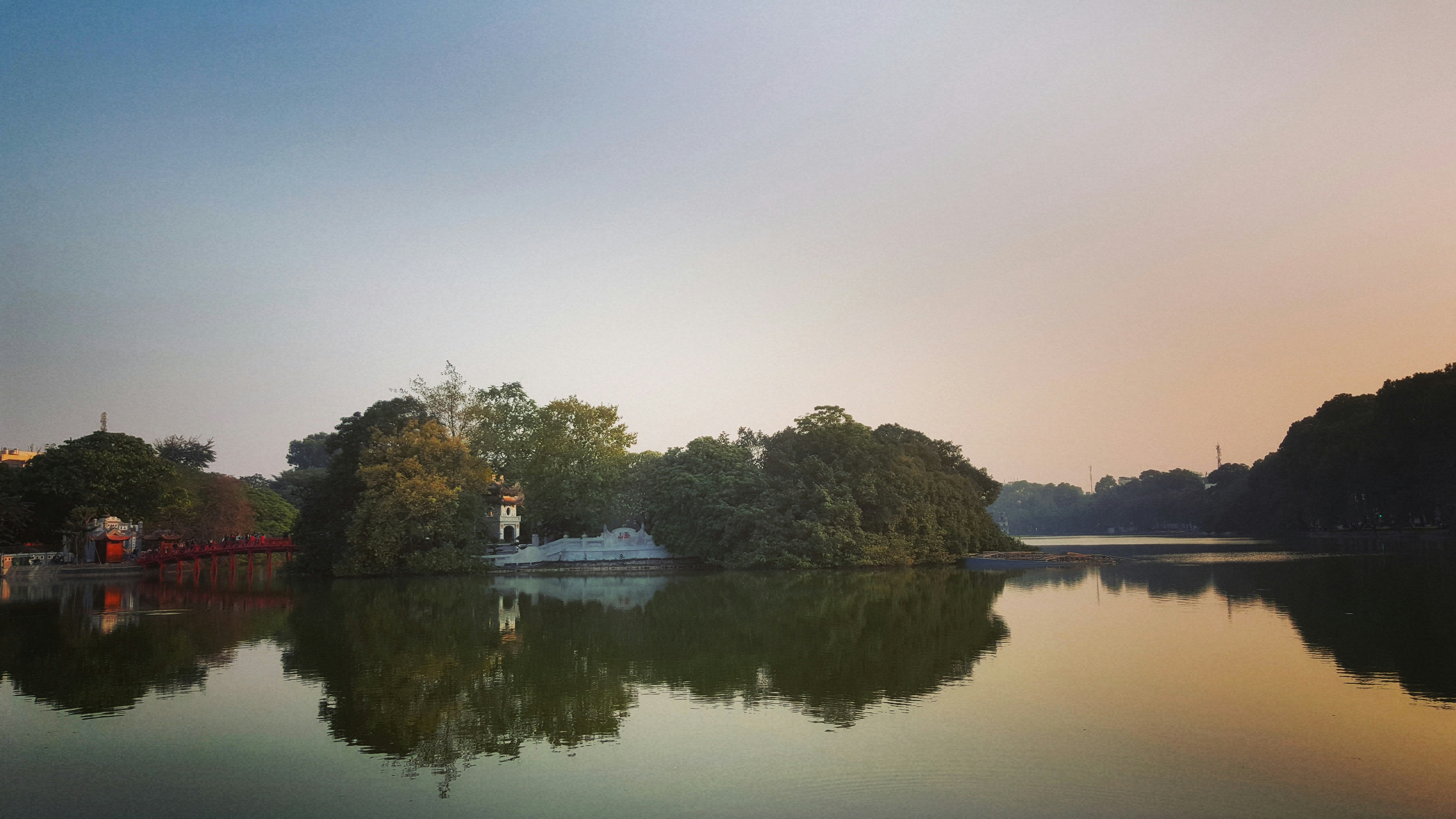 green trees beside lake during daytime