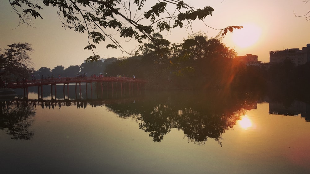 body of water near trees during sunset