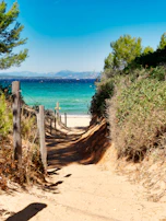 Quiet beachfront path just steps from the house, framed by tropical greenery.