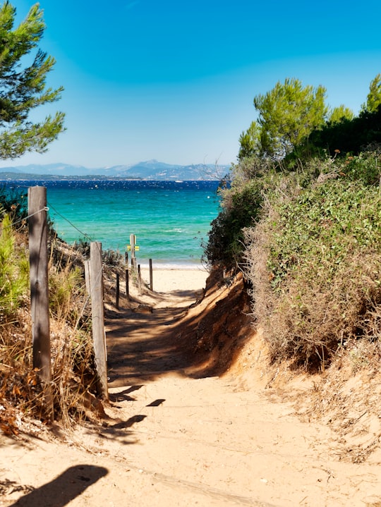 brown wooden fence on beach shore during daytime in Porquerolles France