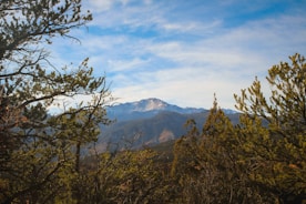 green trees near mountain under white clouds during daytime