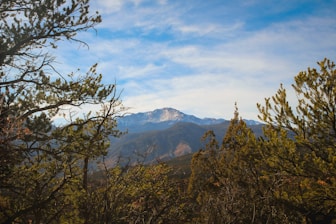 green trees near mountain under white clouds during daytime