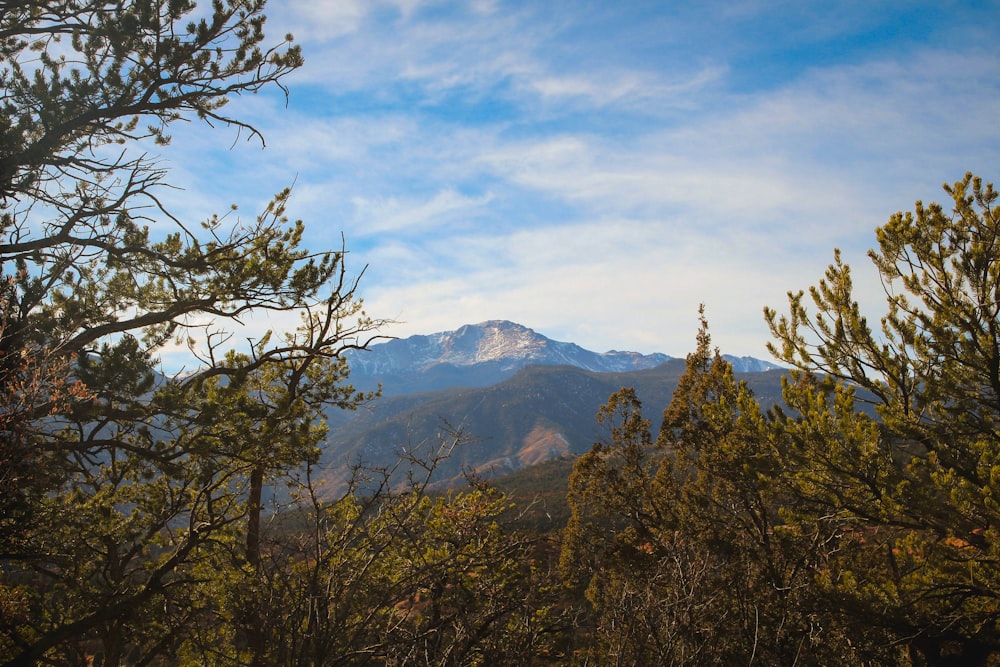 green trees near mountain under white clouds during daytime