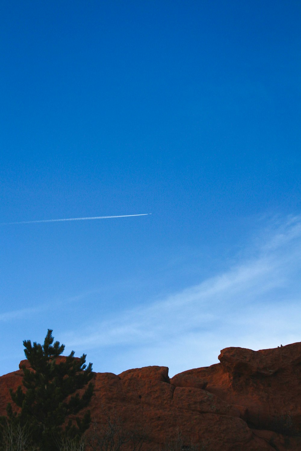 green trees on brown rock formation under blue sky during daytime