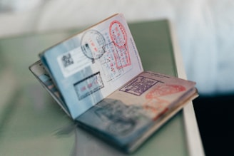 visa process assistance