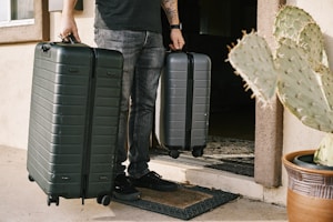 Travel accessories organizer