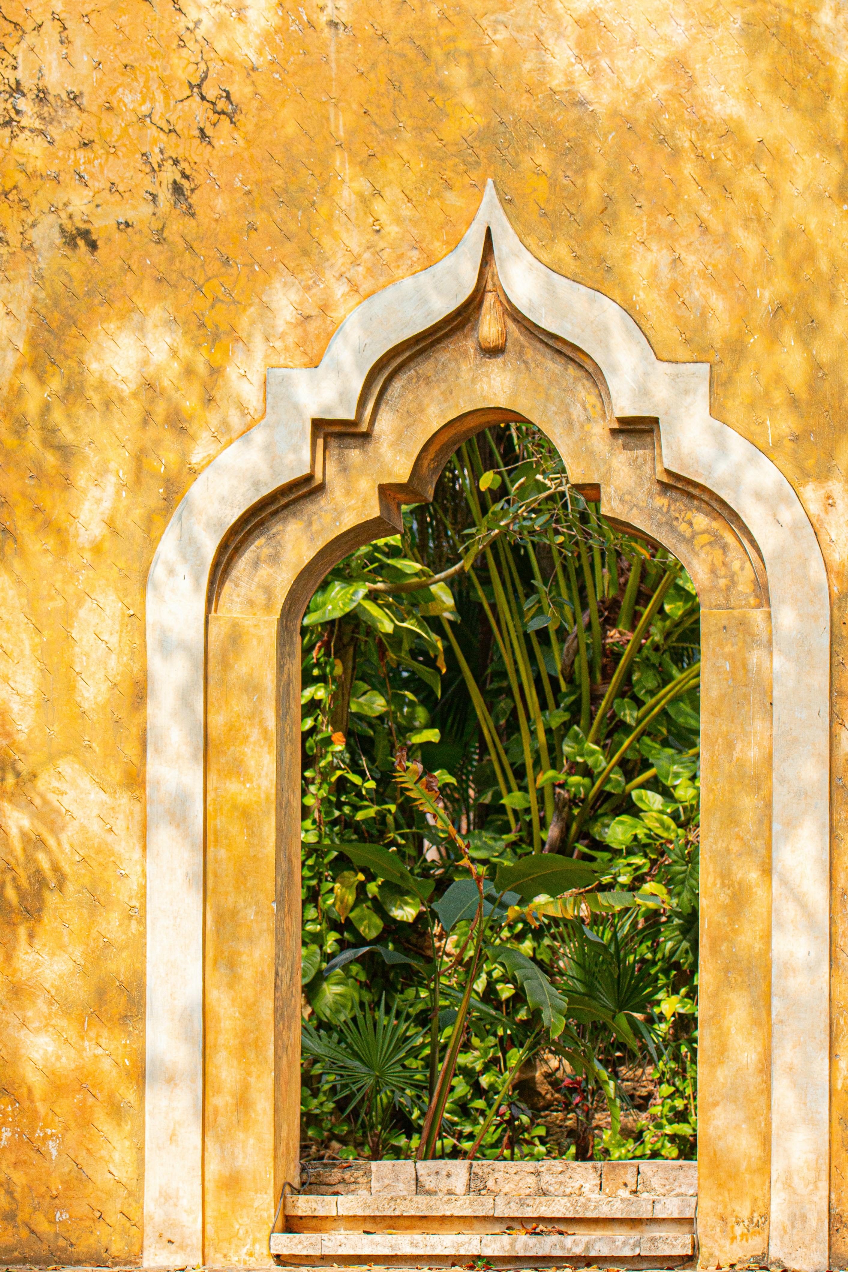 green plant on brown concrete wall
