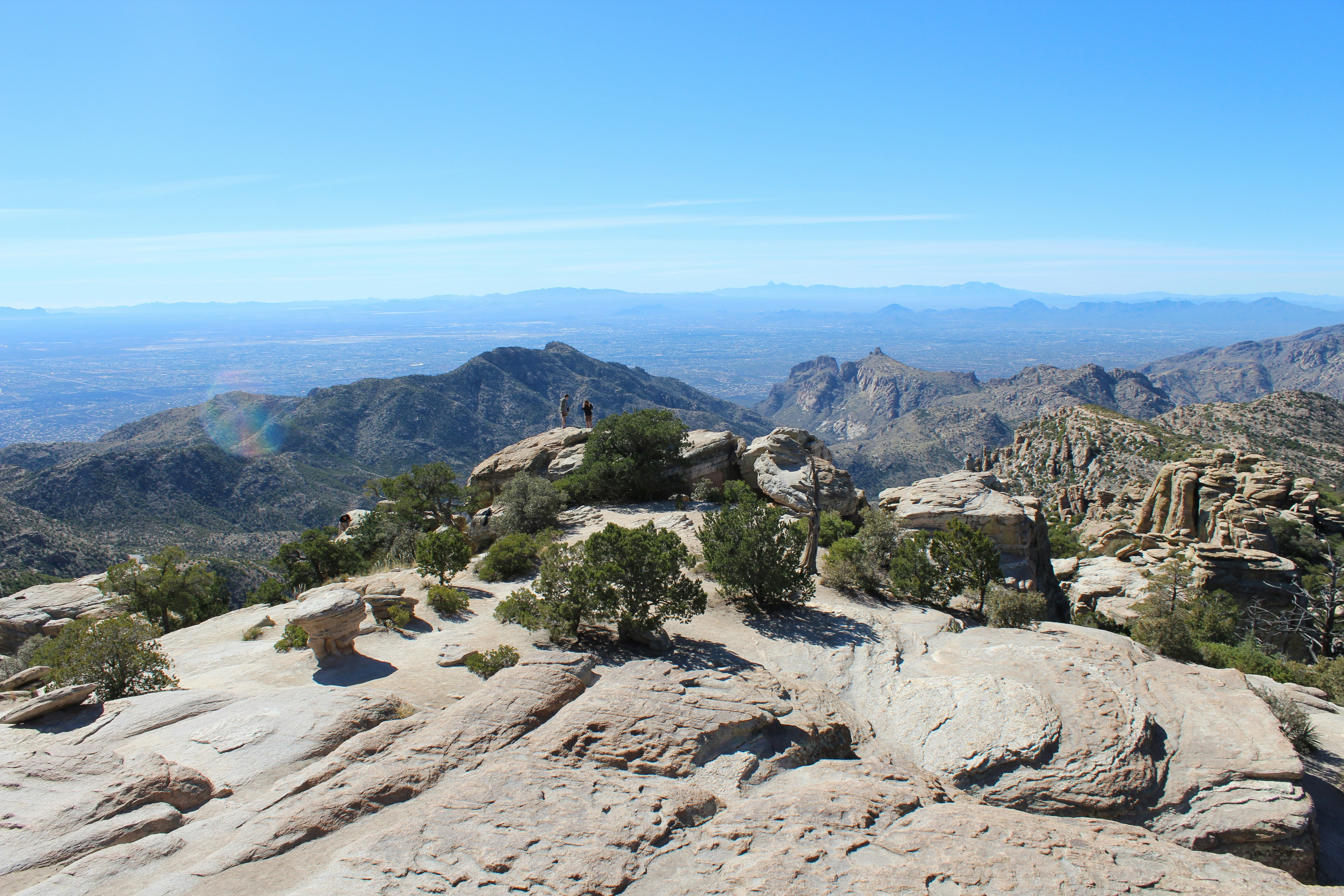 green trees on brown mountain during daytime
