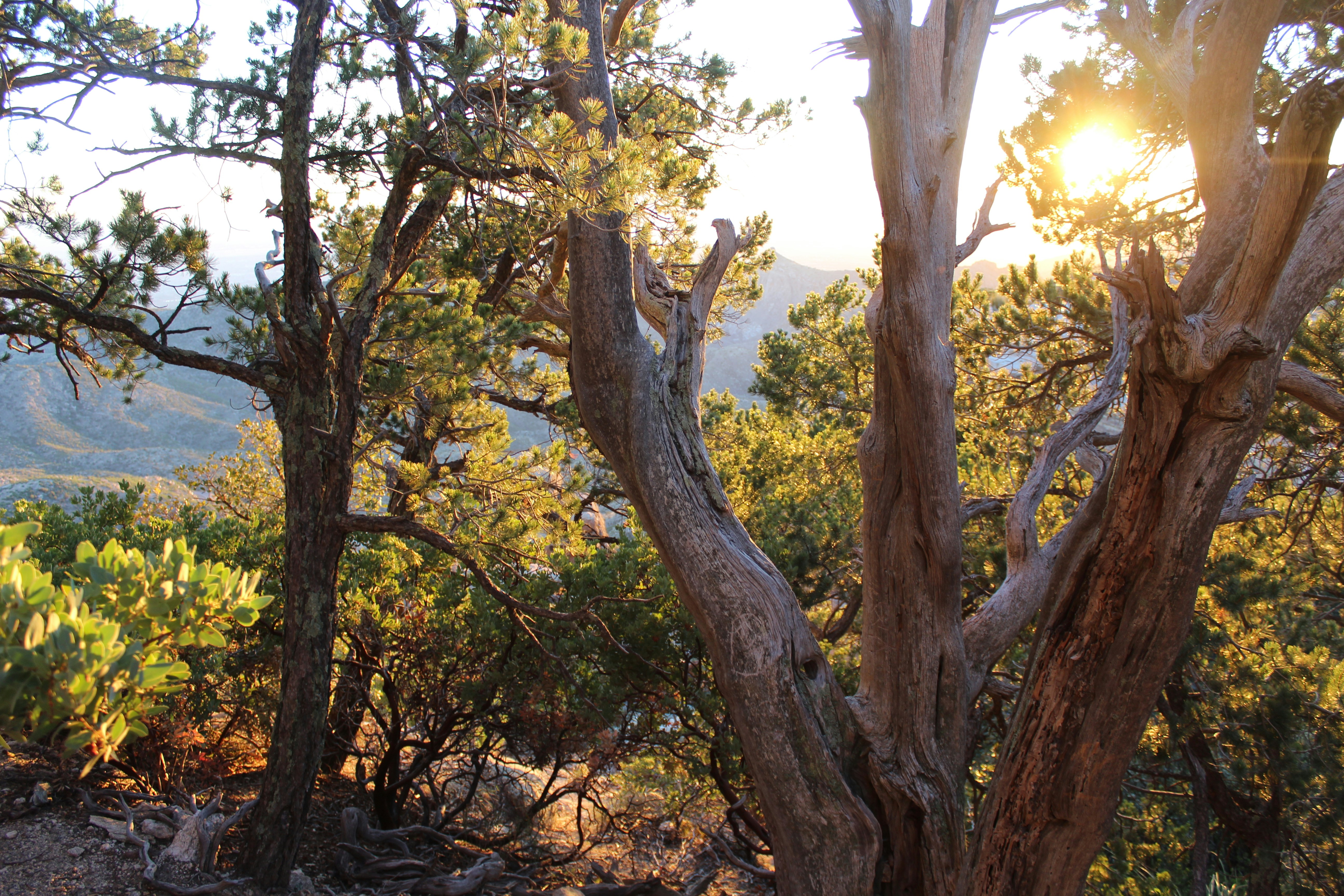 Photo by brandonmessner