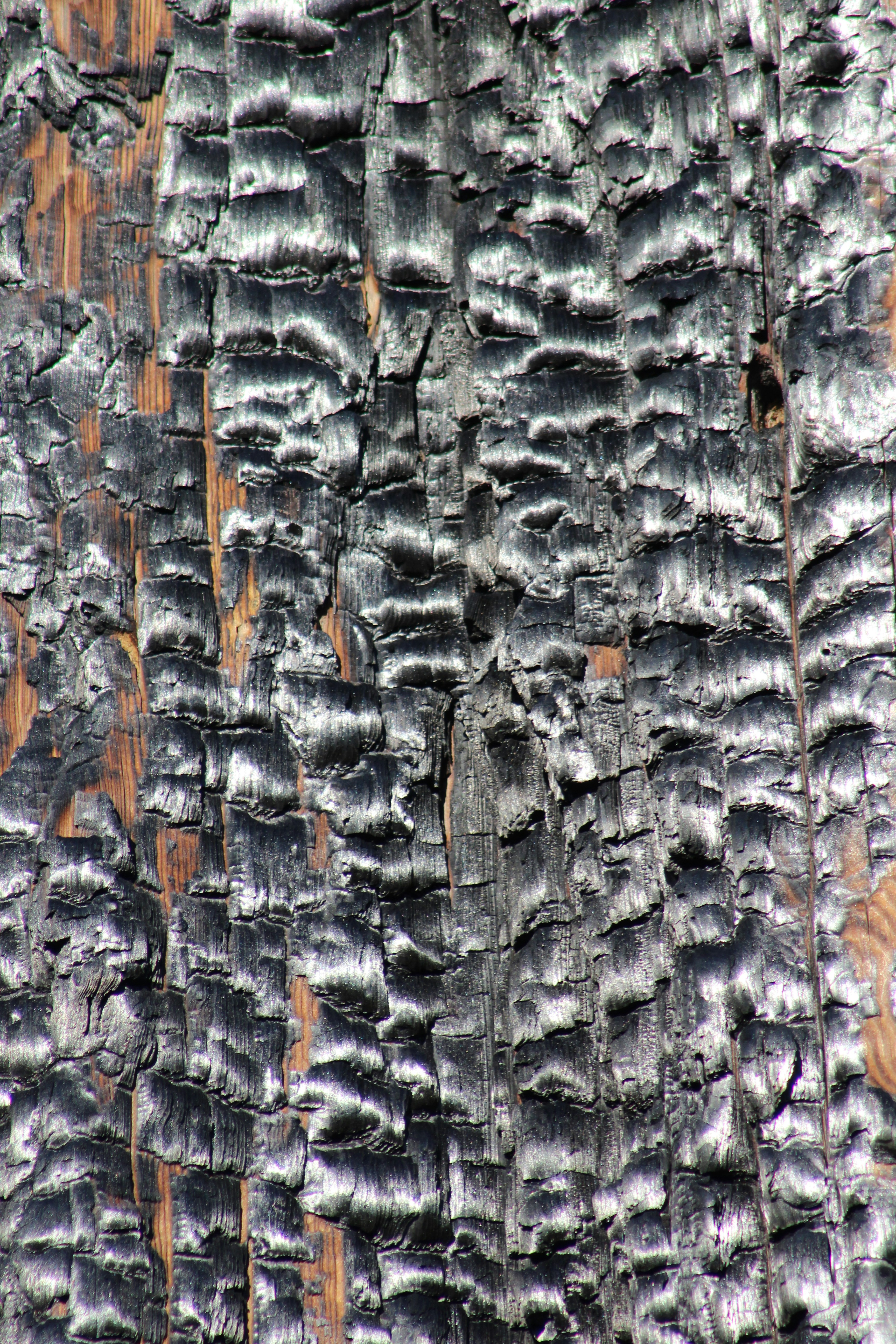 gray and brown concrete wall