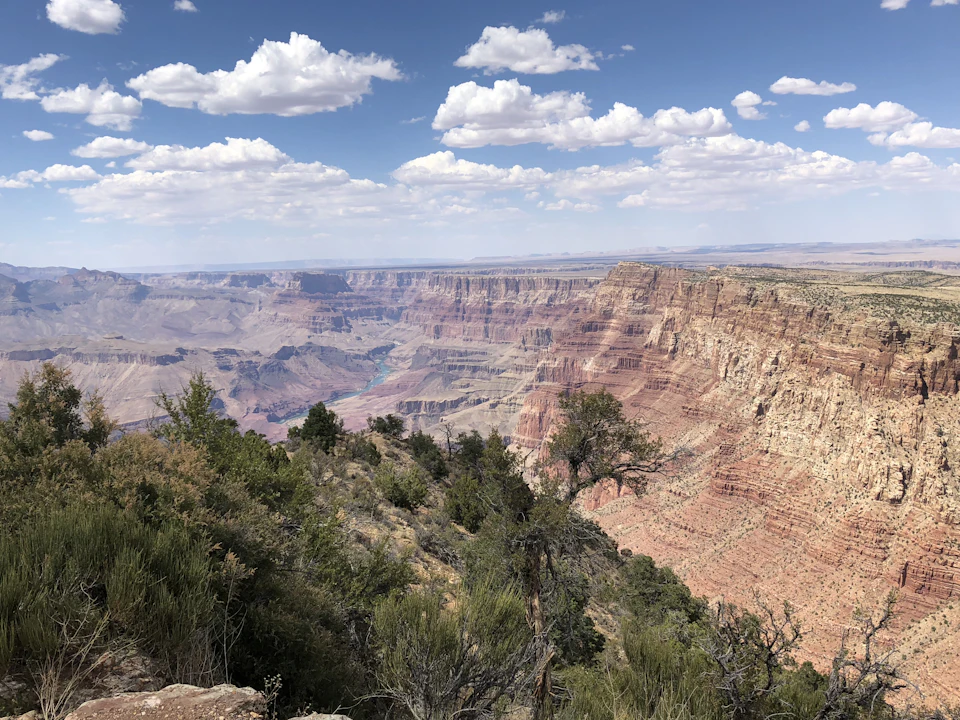 The image depicts a breathtaking view of the Grand Canyon, with its vibrant red rock layers contrasting against the clear blue sky dotted with fluffy white clouds. The canyon's steep walls and deep crevices create a sense of scale and grandeur, while the surrounding vegetation adds a touch of green to the otherwise stark landscape.

In the foreground, there are trees and bushes that add depth and texture to the scene. The image is taken from an elevated perspective, providing a panoramic view of the canyon's vast expanse and its intricate geological formations.
