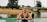 A serene outdoor setting with a person meditating on a yoga mat.
