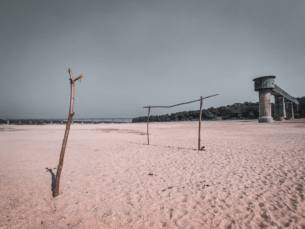 brown wooden post on white sand during daytime