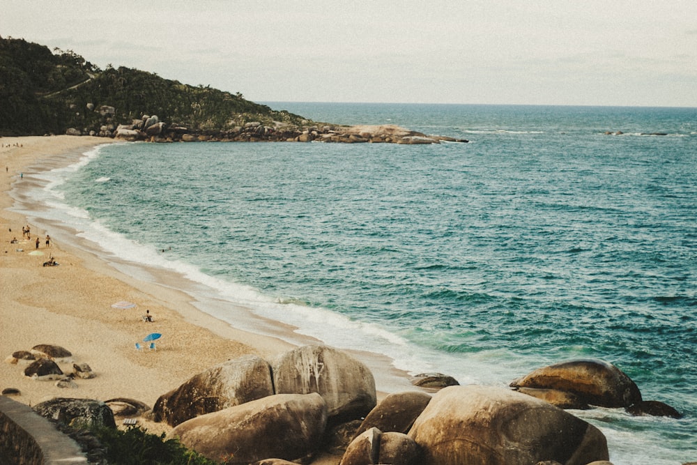 people on beach during daytime