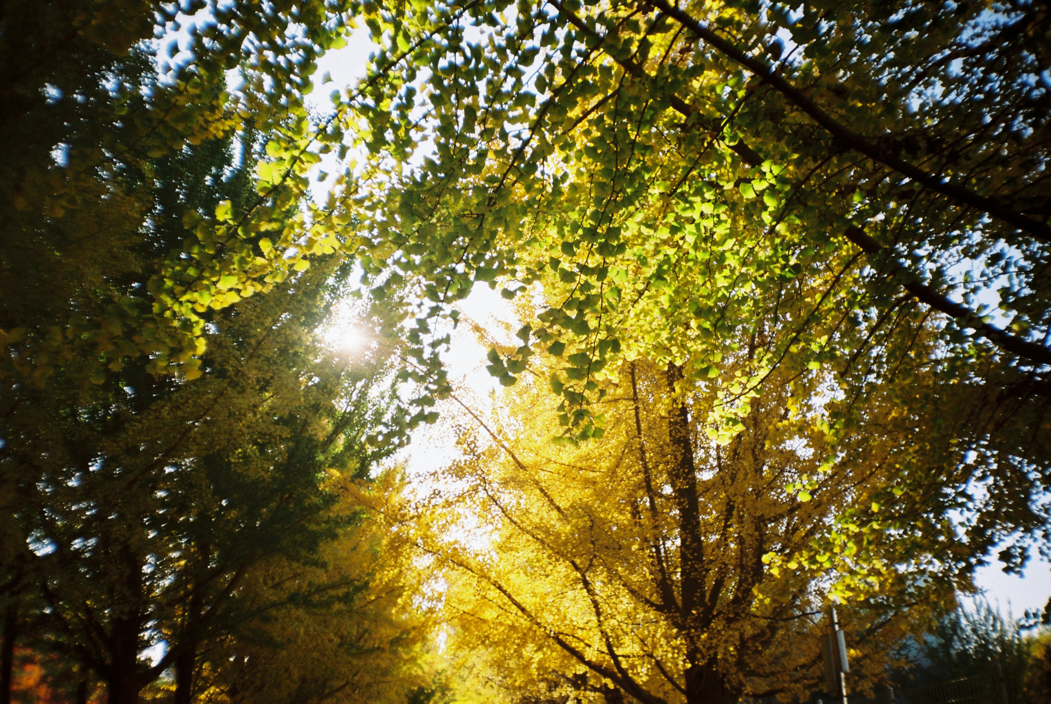 Photo by million1994