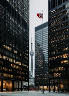 Toronto CBD