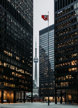 Toronto CBD