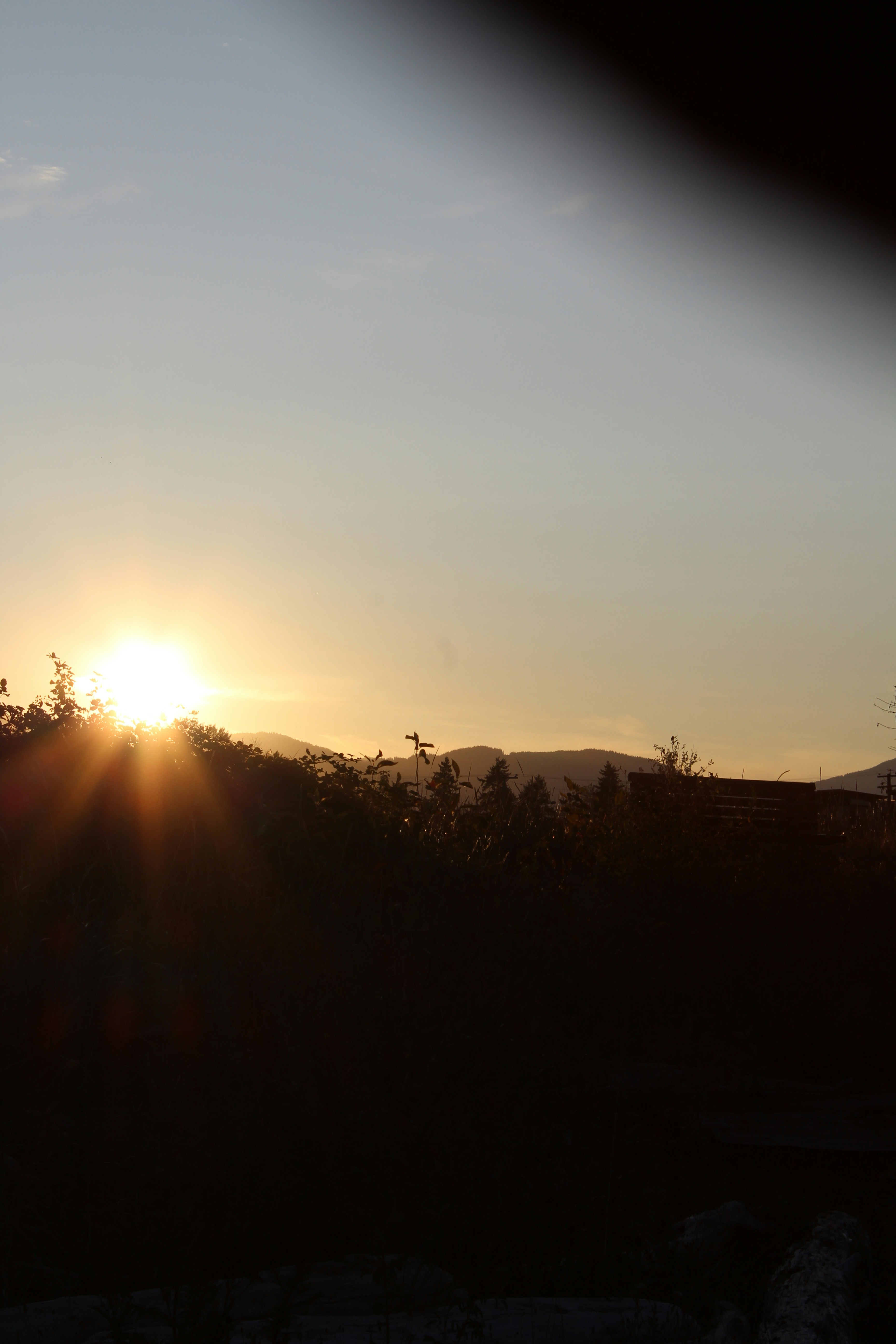 Photo by colefreeman