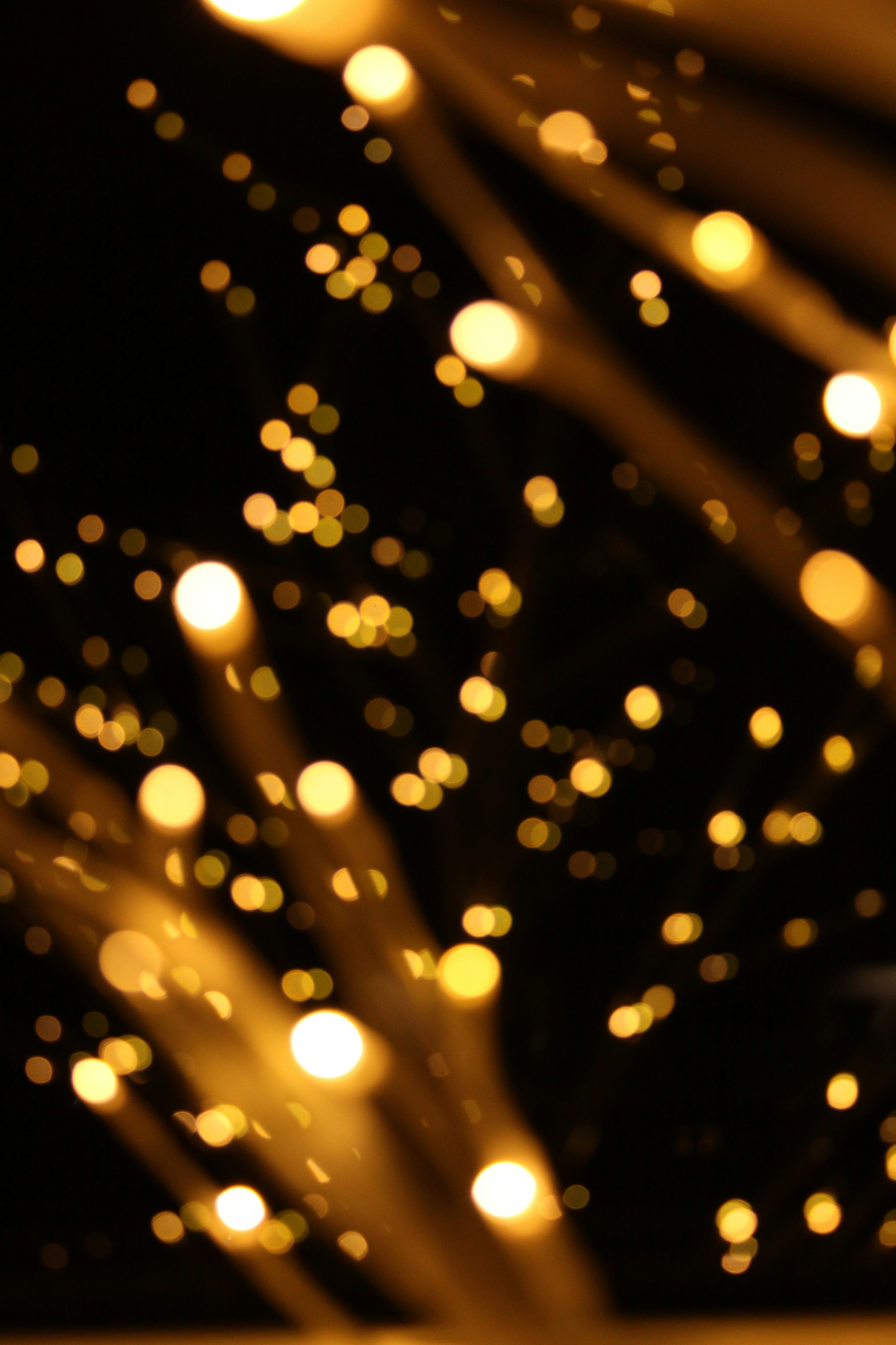 Photo by colefreeman