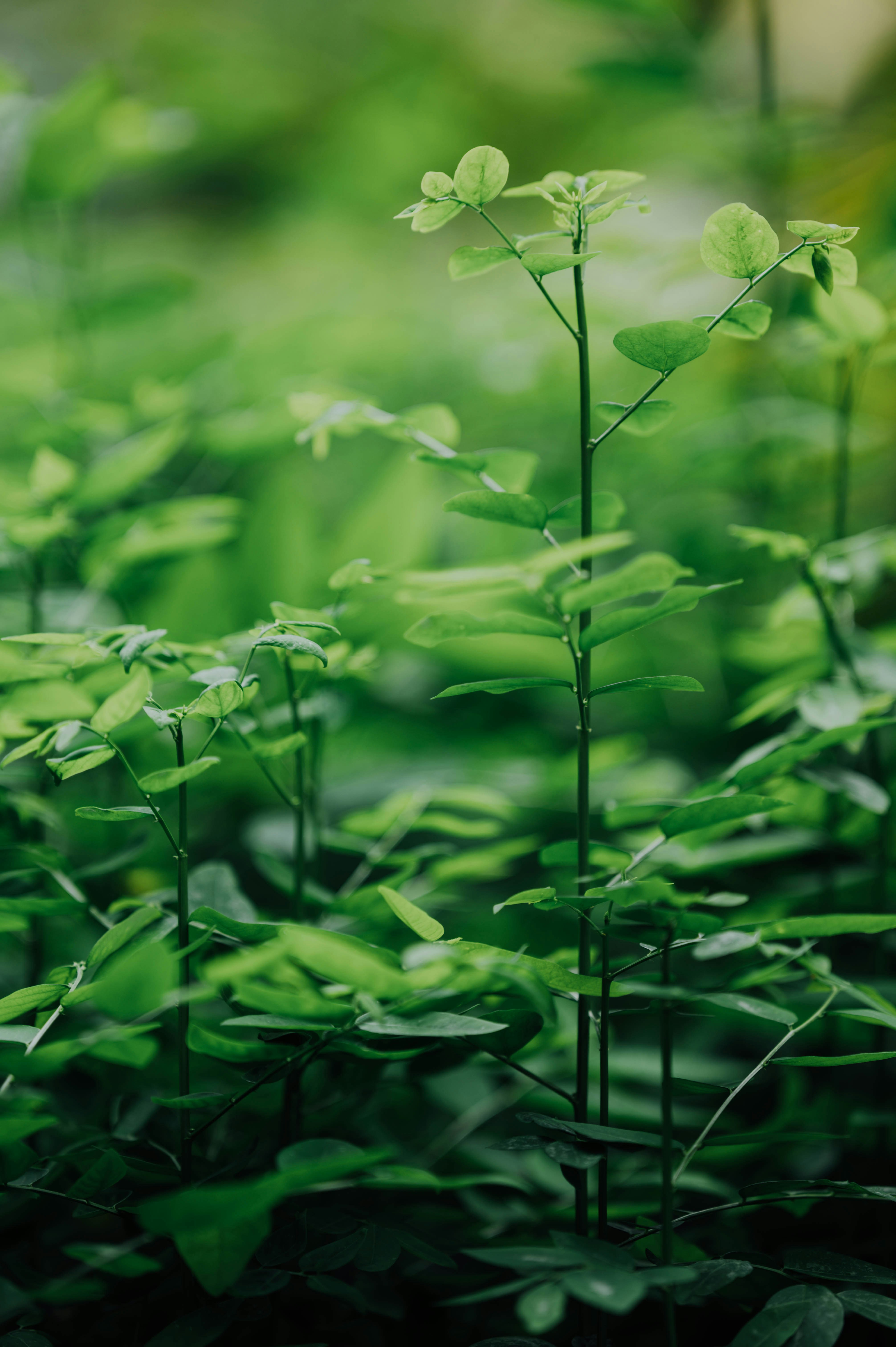 Photo by chuttersnap