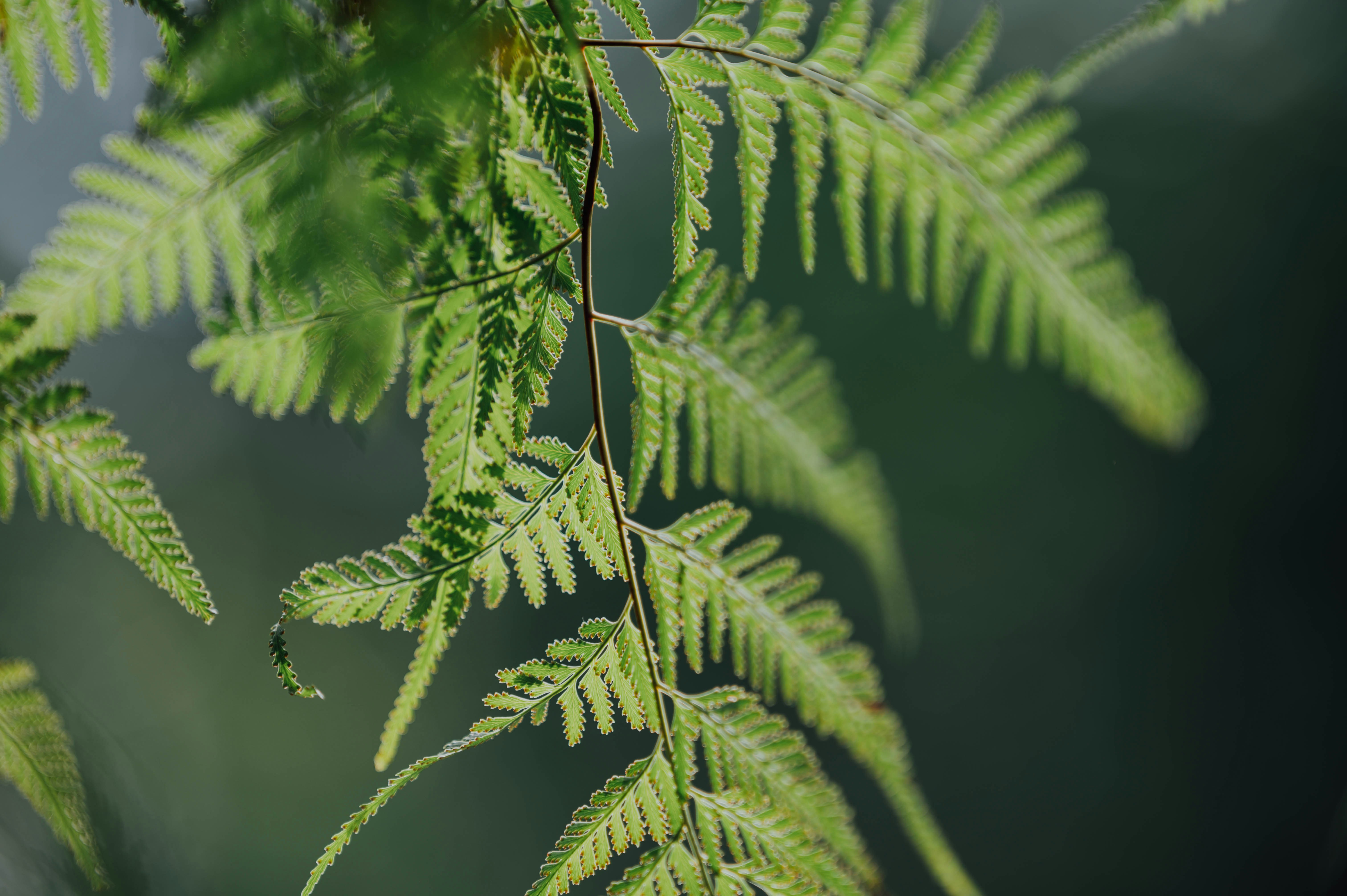 Photo by chuttersnap