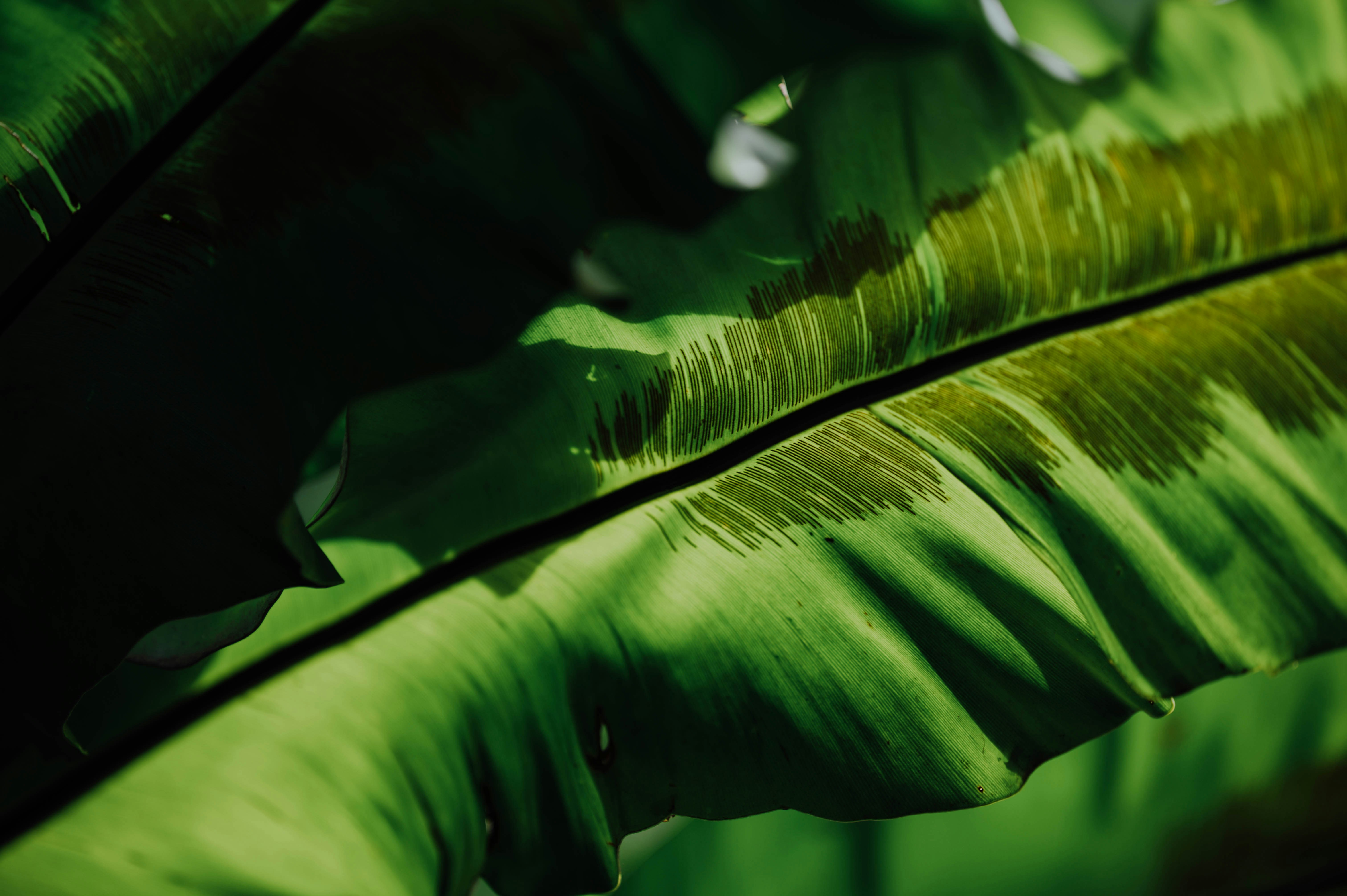 Photo by chuttersnap