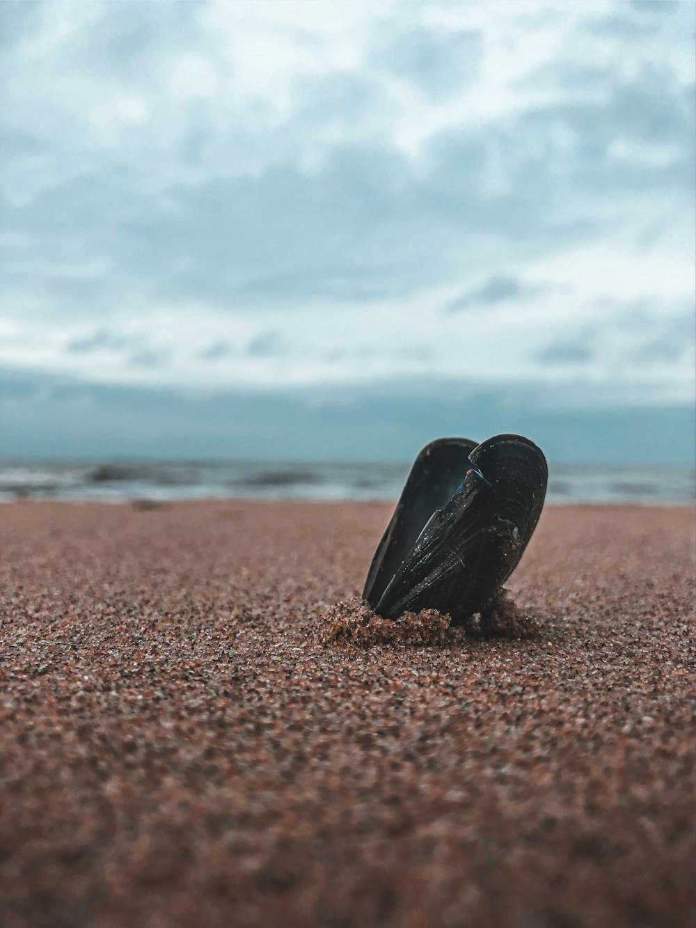 昼間の茶色の砂浜の上の黒い岩