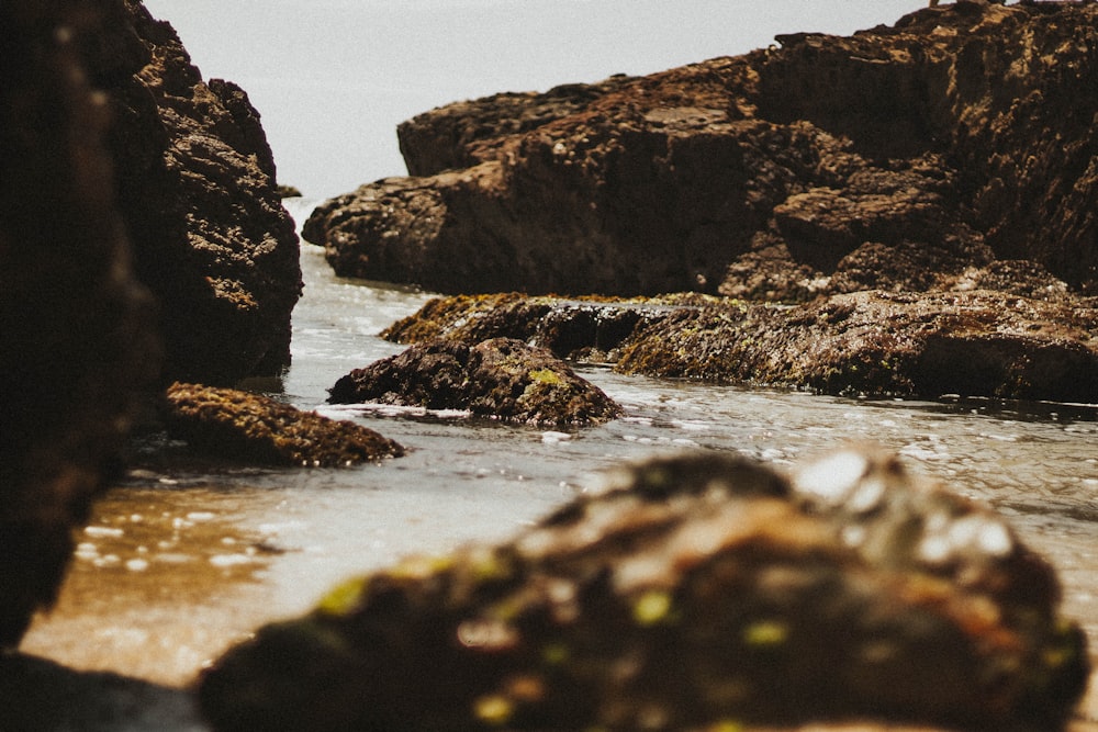 black and brown rock formation on sea water during daytime