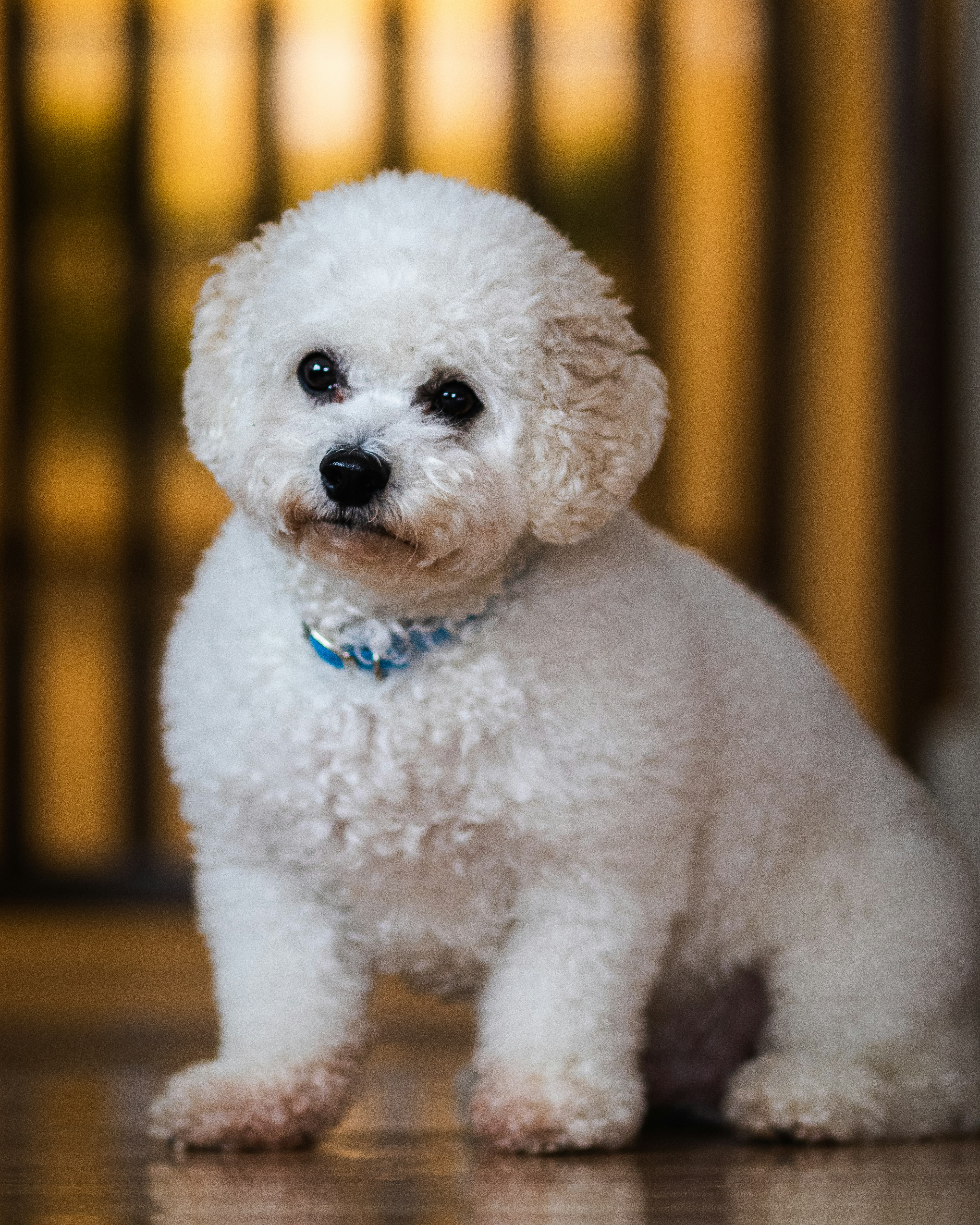 Photo by cole_wyland_24