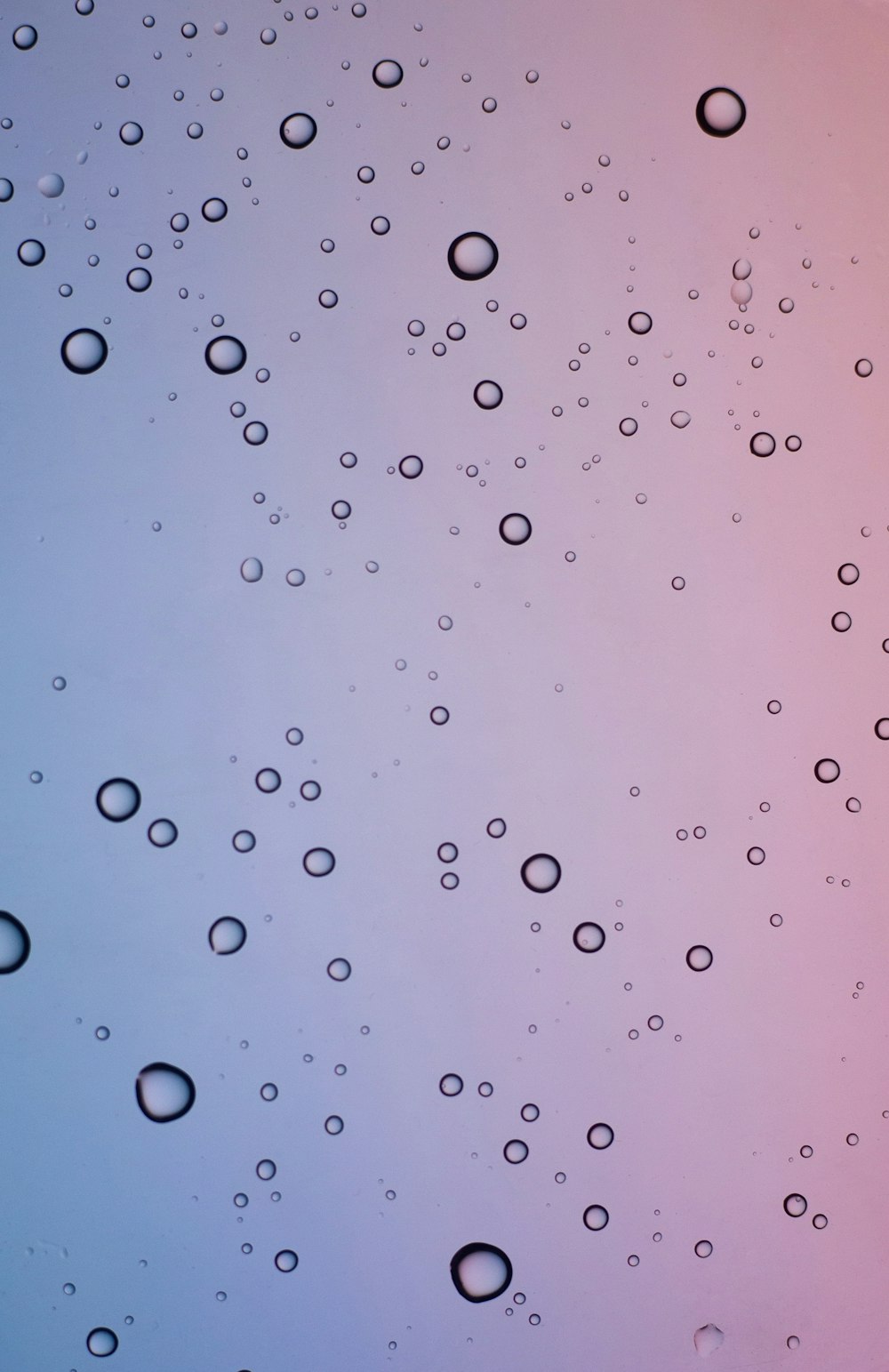 water droplets on pink surface