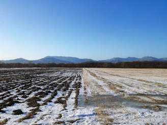 Scientists in the field collecting soil samples with mountains in the background