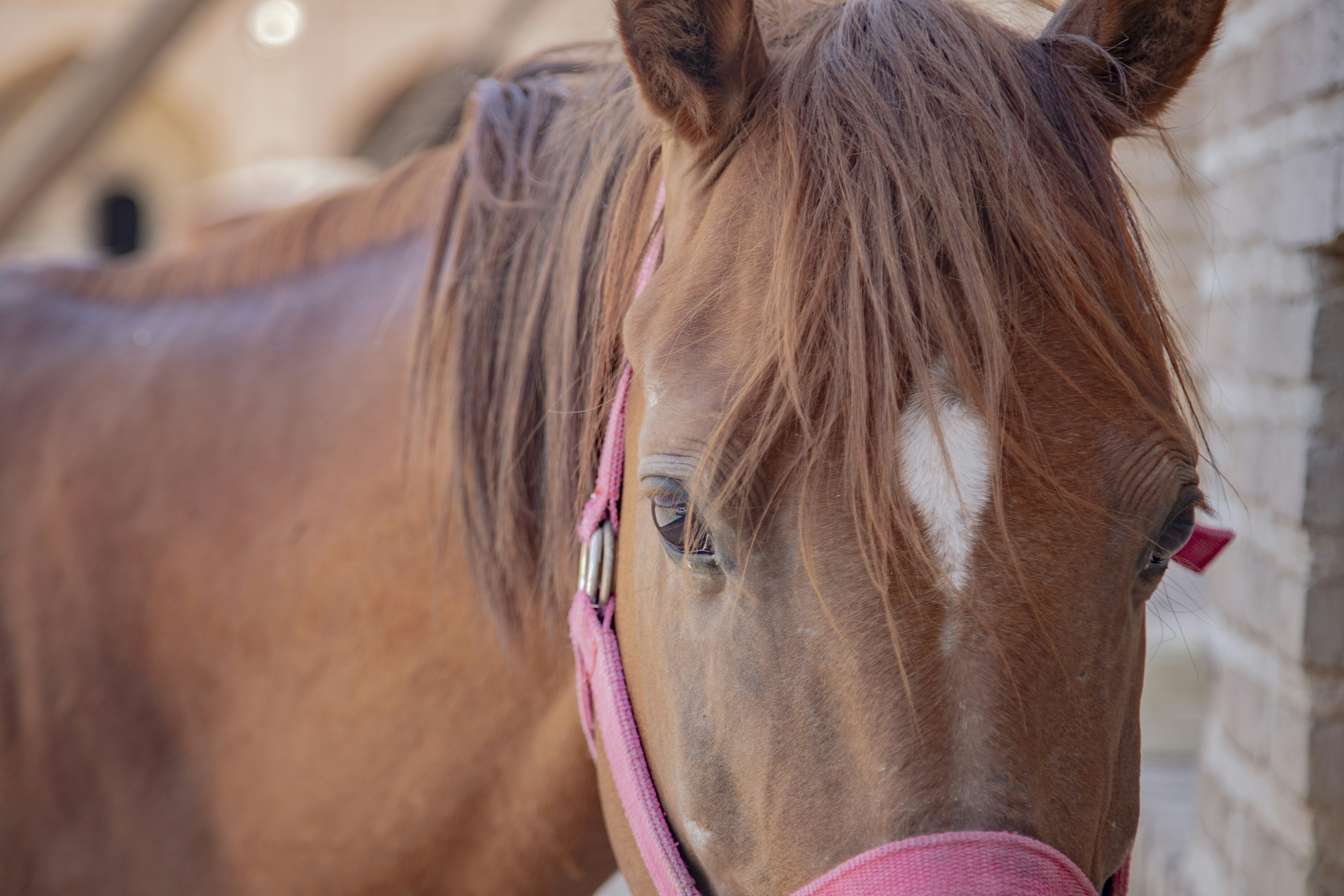 Photo by mostafa_meraji