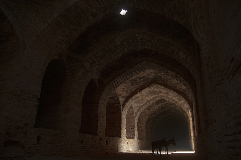 2 person walking inside tunnel