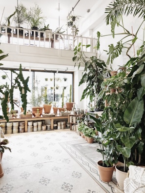 A bright and airy indoor garden space with an abundance of potted plants scattered throughout. The room features a high ceiling with additional plants placed on a balcony shelf above. Large windows allow natural light to flood the area, enhancing the lush green hues of the plants. Various ceramic pots and planters are neatly arranged, creating an organized and inviting atmosphere.
