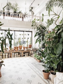A bright and airy indoor garden space with an abundance of potted plants scattered throughout. The room features a high ceiling with additional plants placed on a balcony shelf above. Large windows allow natural light to flood the area, enhancing the lush green hues of the plants. Various ceramic pots and planters are neatly arranged, creating an organized and inviting atmosphere.