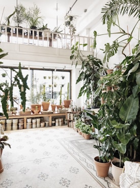 A bright and airy indoor garden space with an abundance of potted plants scattered throughout. The room features a high ceiling with additional plants placed on a balcony shelf above. Large windows allow natural light to flood the area, enhancing the lush green hues of the plants. Various ceramic pots and planters are neatly arranged, creating an organized and inviting atmosphere.