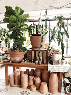 A room filled with various potted plants and stacks of terracotta pots on display. The wooden table is adorned with lush green plants in large clay pots, surrounded by rows of small terracotta pots. Jars and small containers are arranged on the tabletop along with other decorative items. Sunlight streams through large windows, enhancing the natural, earthy atmosphere of the scene.