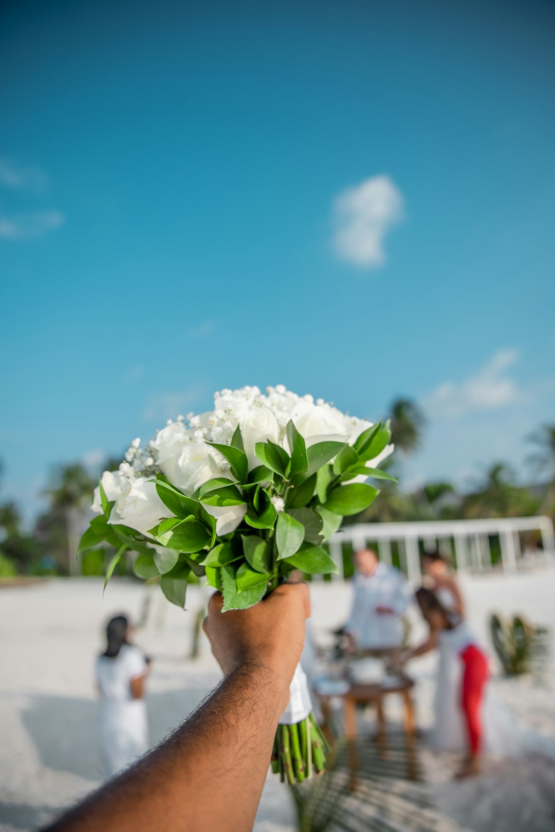 white flower on persons hand