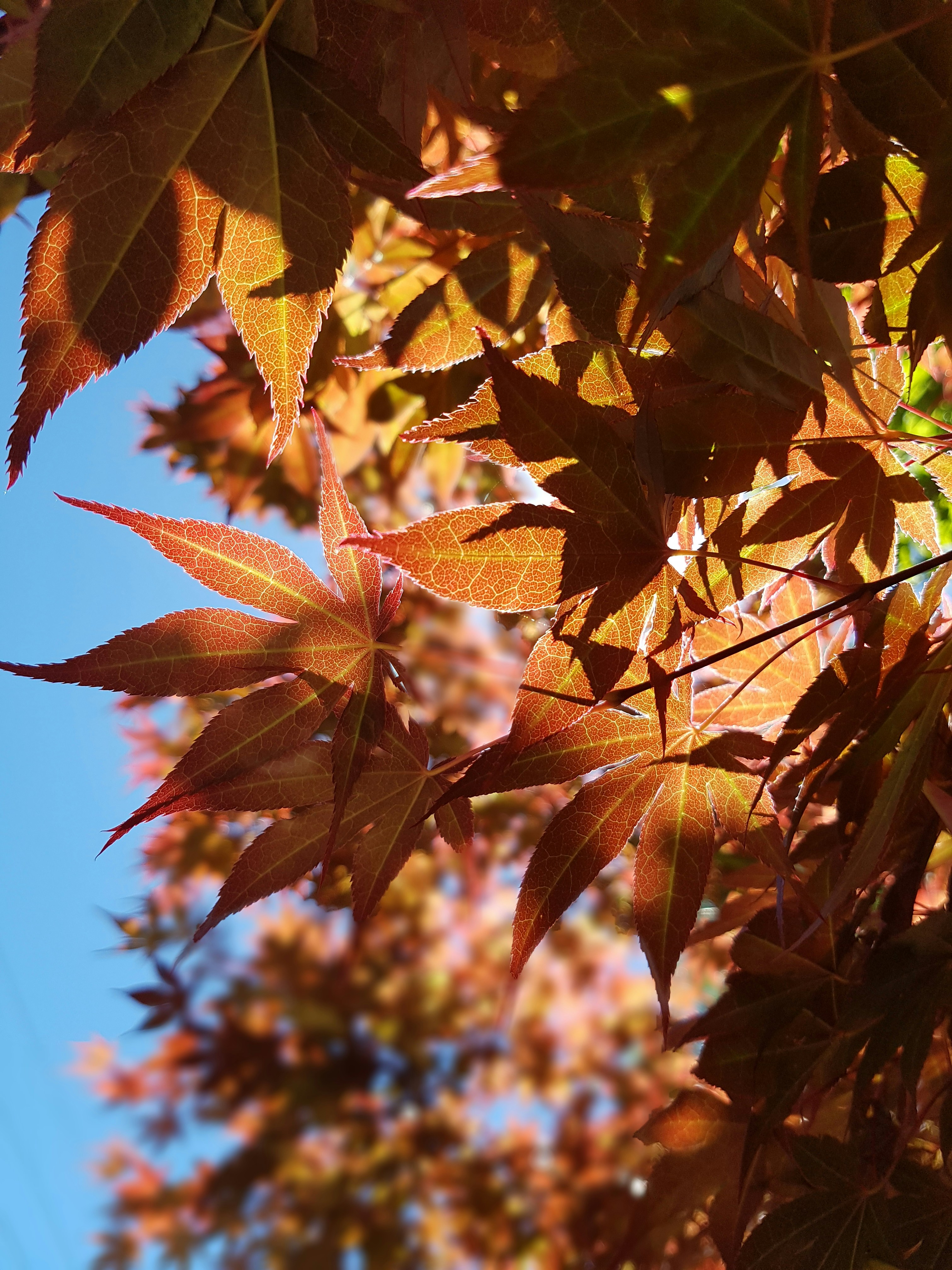 Photo by reneeconoulty