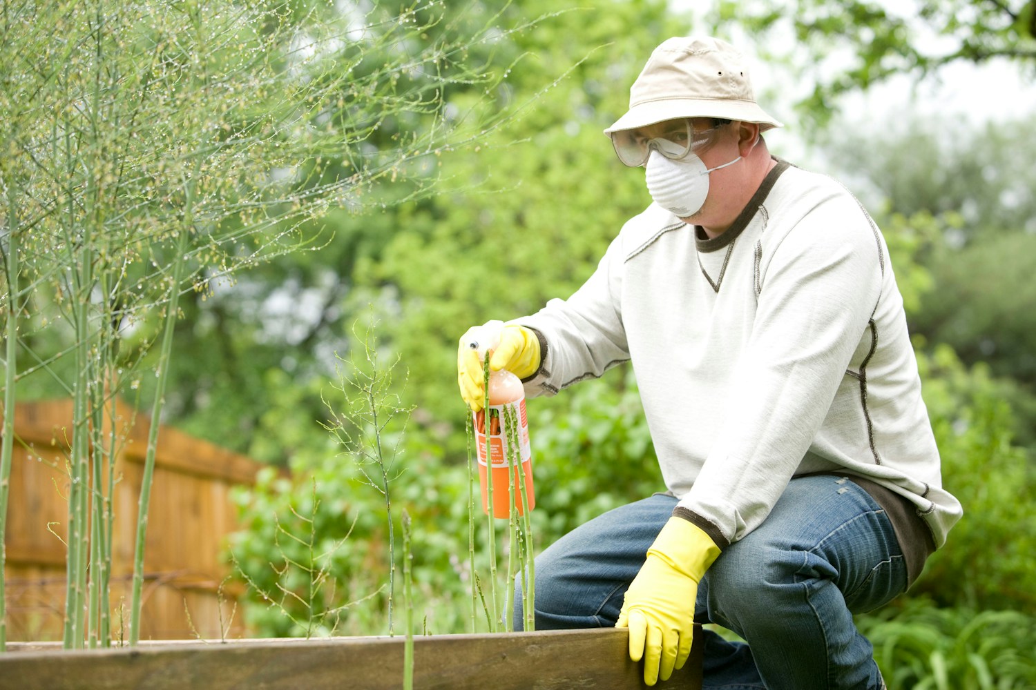 Variety of Fertilizers